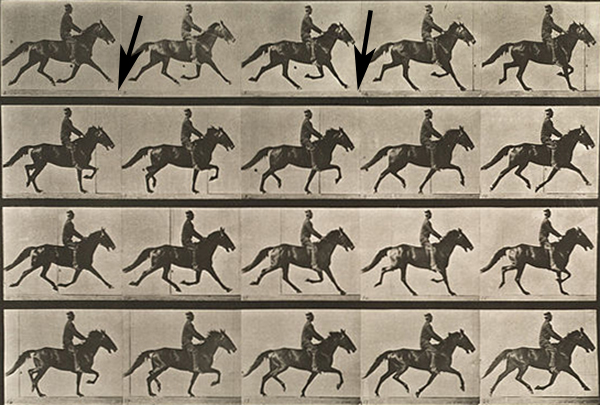 muybridge pace sequence arrows 2 in